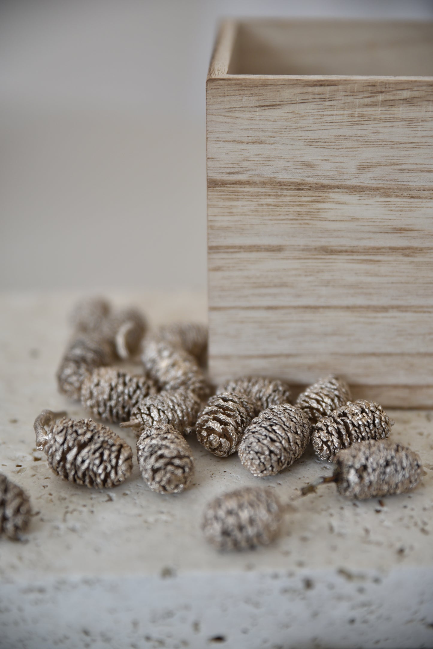 Sušený plod - champagne