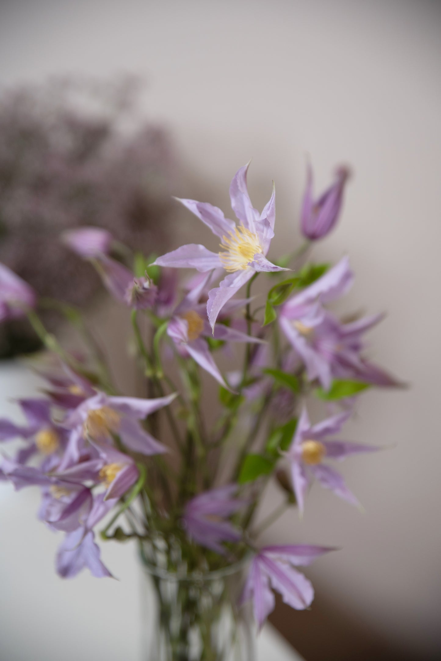 Kvetinové predplatné