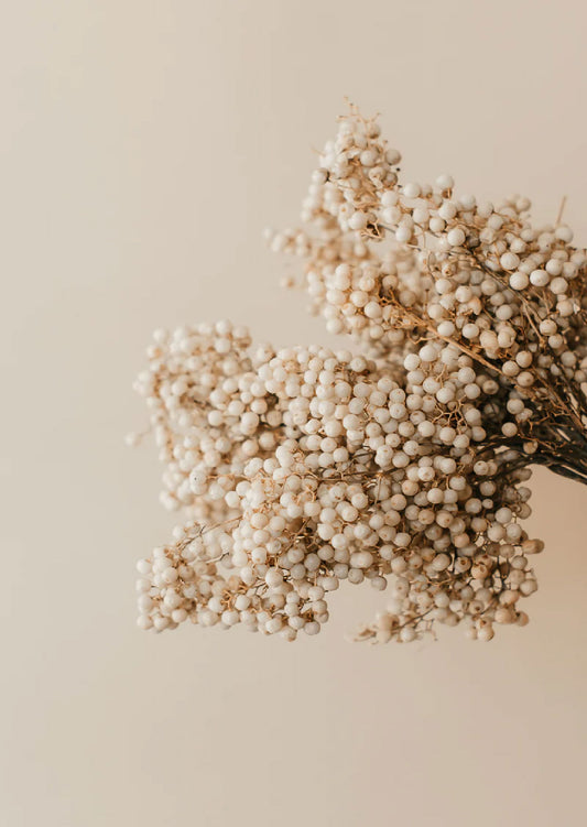 Dried white pepper